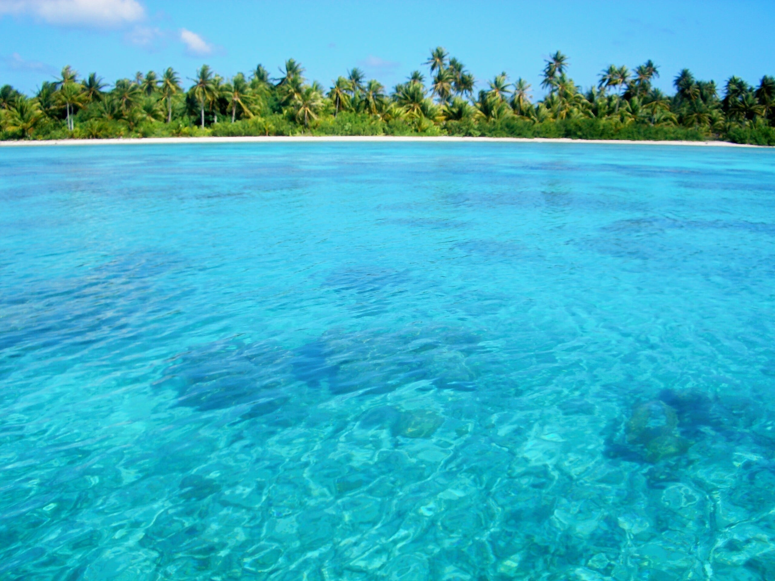 Polinesia Francese, la laguna di Maupiti meta perfetta per le vacanze estive