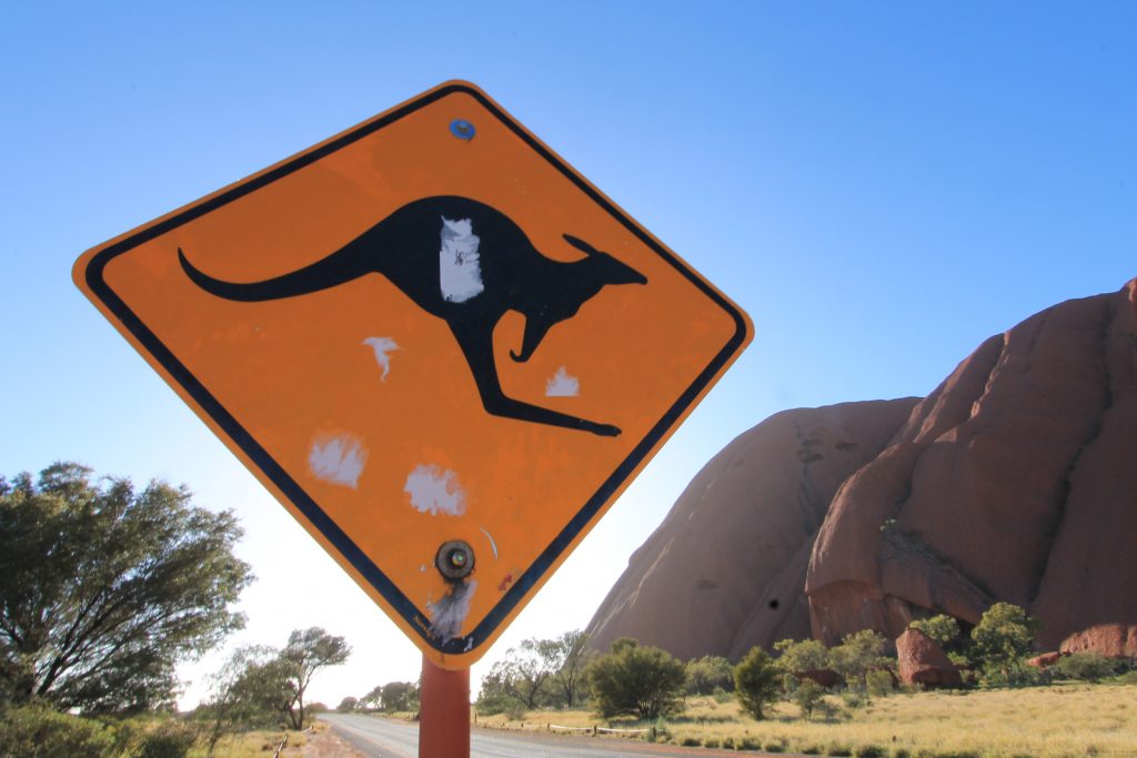 COSA VEDERE IN AUSTRALIA, AYERS ROCK, CARTELLO STRADALE ATTENZIONE AI CANGURI