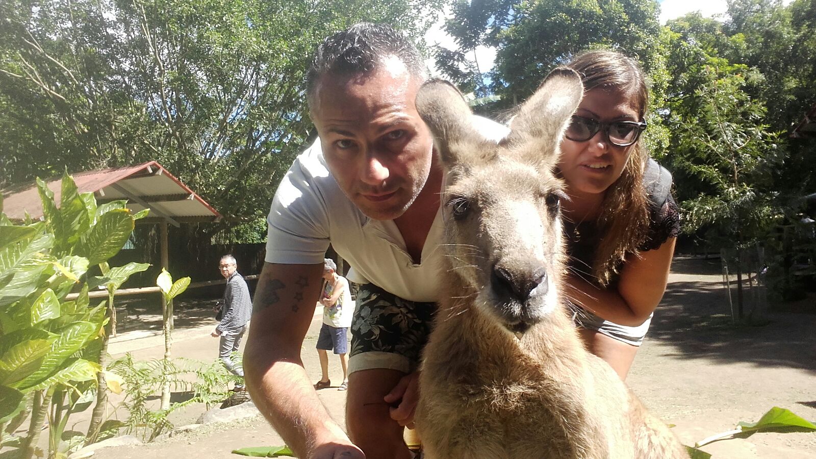 Selfie con il canguro in Australia