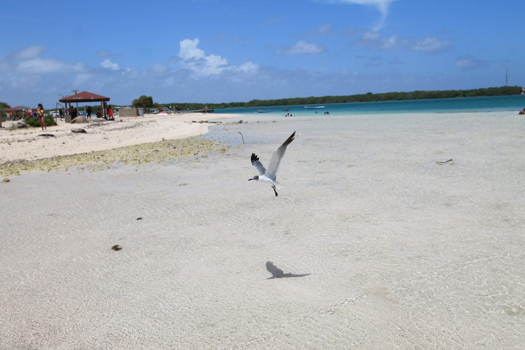 Lac Bay Antille Olandesi