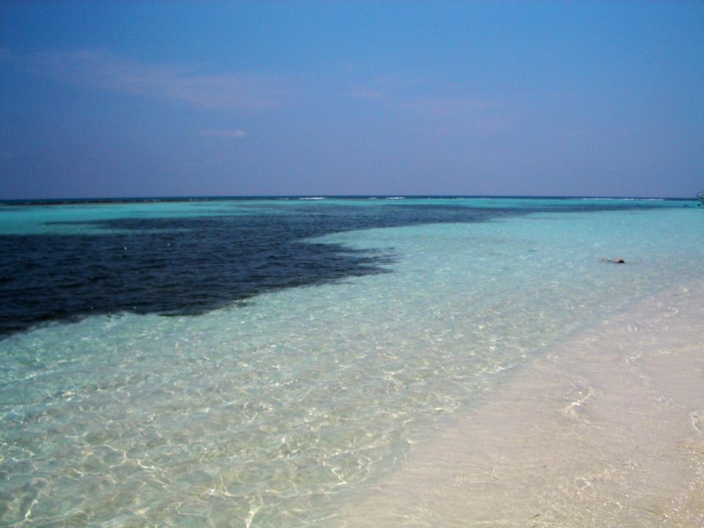 ISOLA DI SAONA REPUBBLICA DOMINICANA, ESCURSIONE DA BAYAHIBE Canto della Playa 
