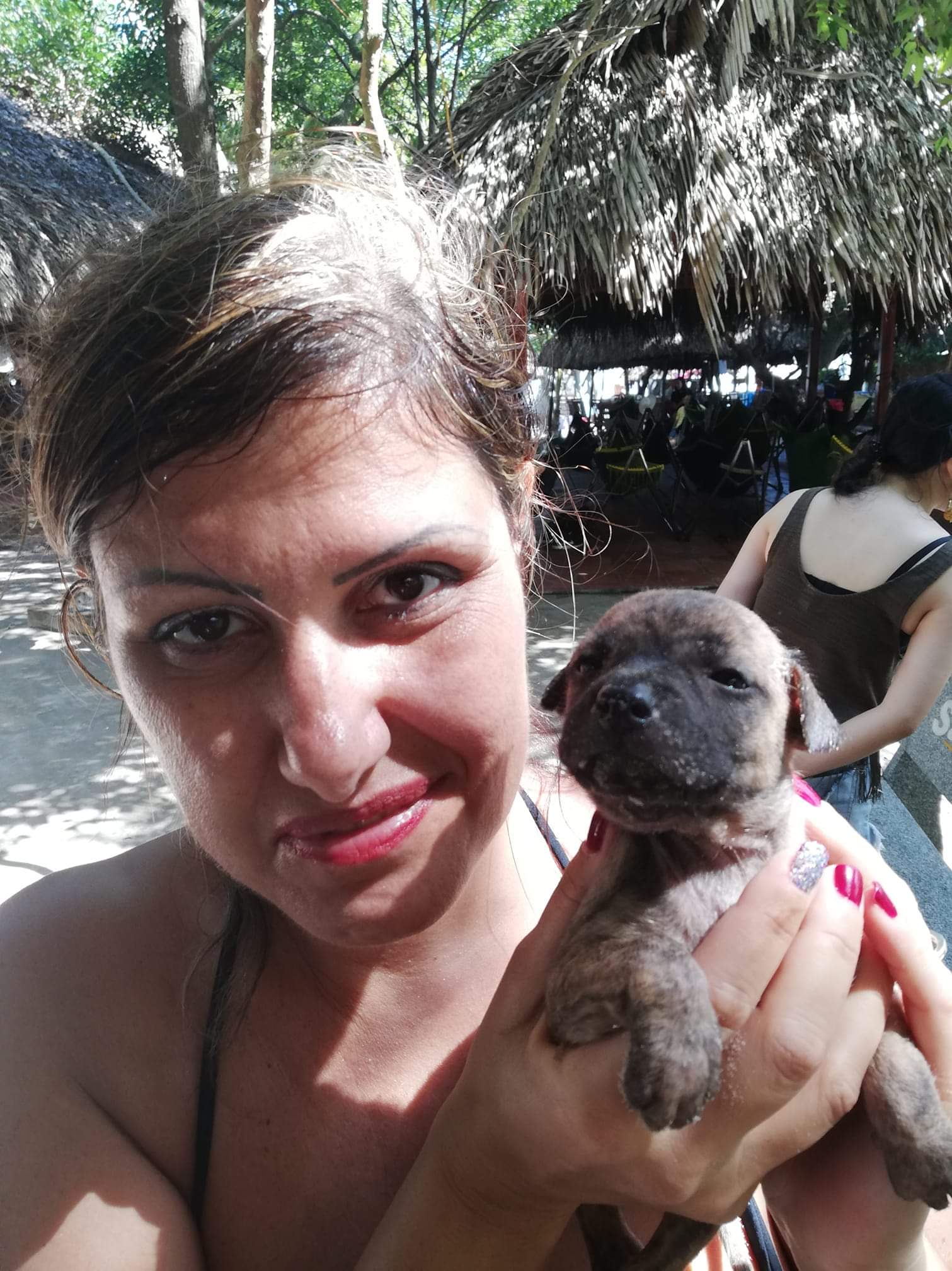 Un cucciolo di cane di Phu Quoc