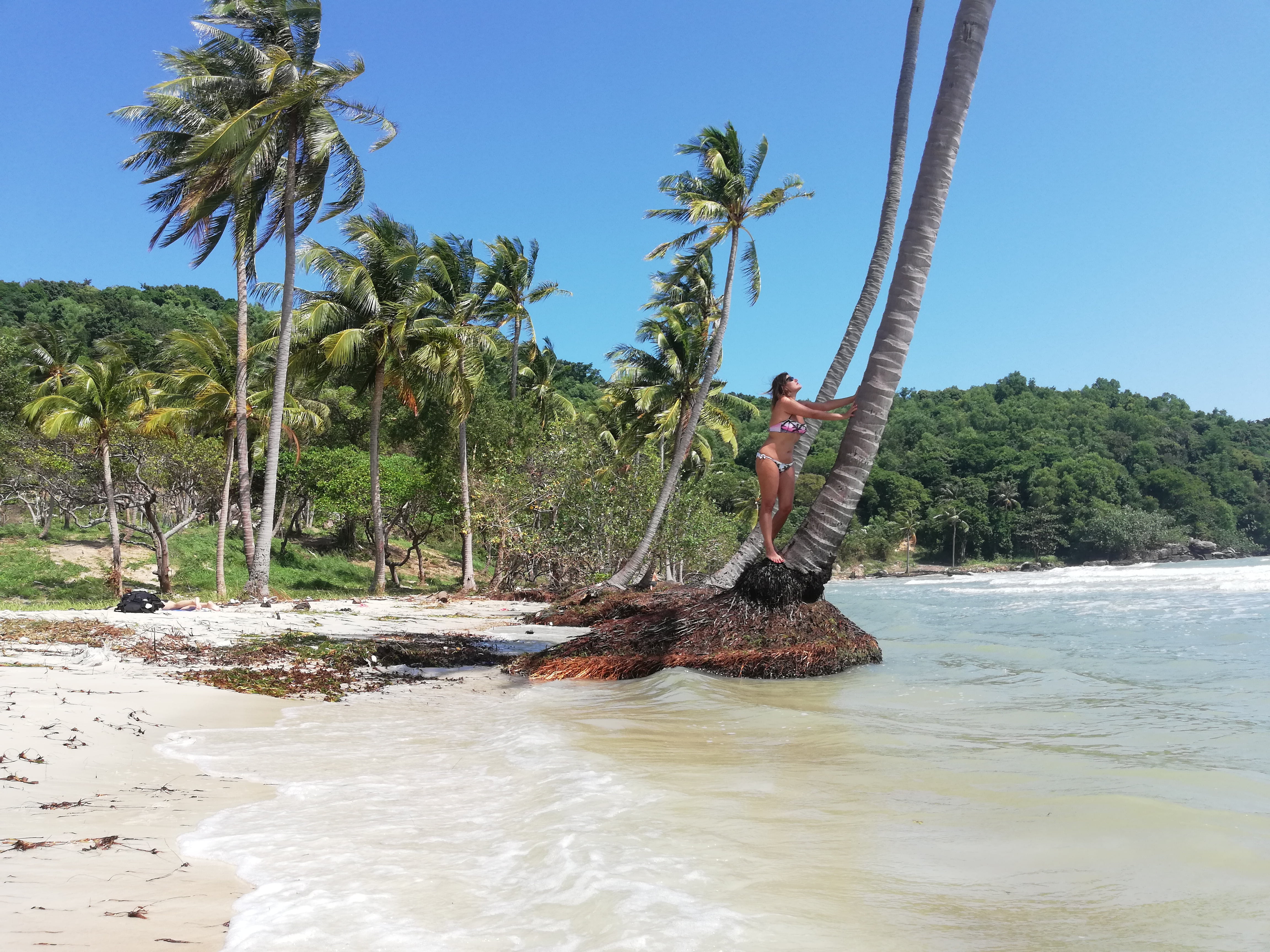BAI SAO ISOLA DI PHU QUOC VIETNAM, SPIAGGIA CON PALME