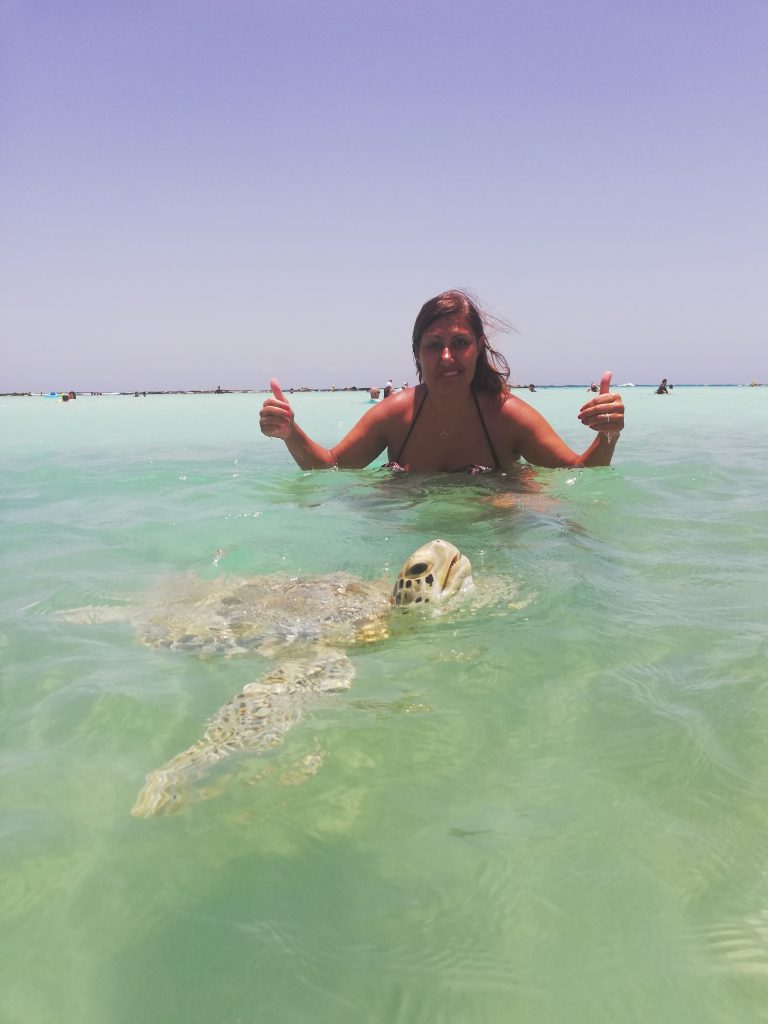 aruba turtle, FOTO TARTARUGHE AD ARUBA BABY BEACH