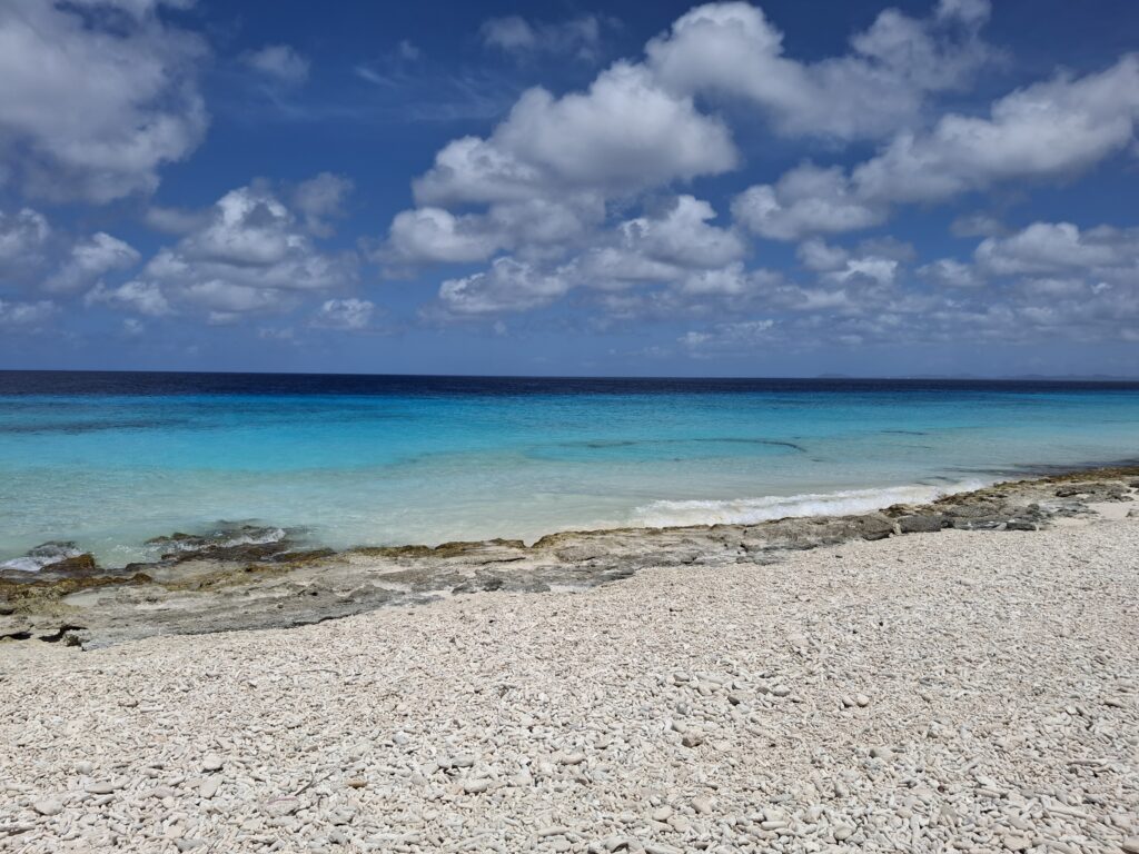 Pink Beach Bonaire