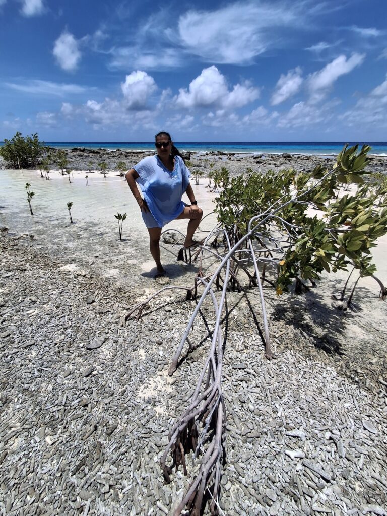 Mangrovie a Margate Bay