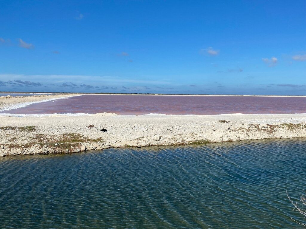 Salt pier Bonaire