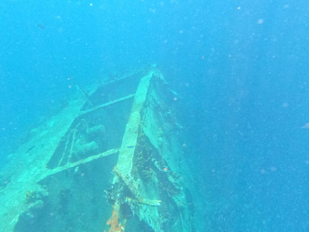 COSA VEDERE AD ARUBA, SNORKELING CON CATAMARANO DEL PELICAN ADVENTURES RELITTO ANTILLA WREK