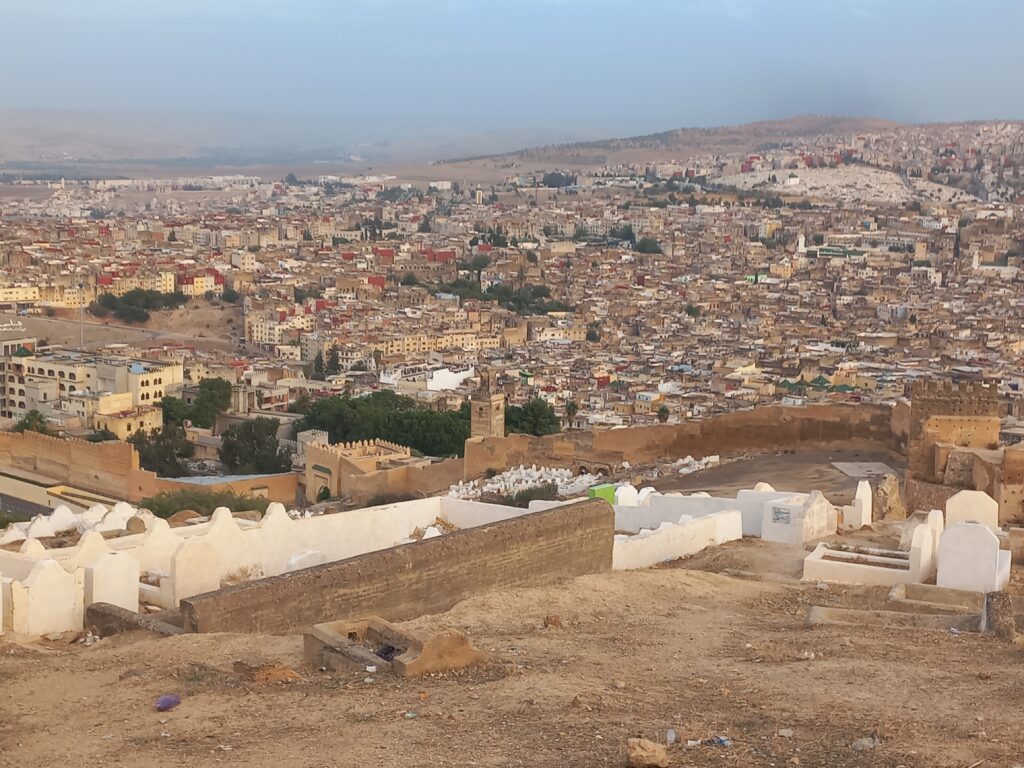 la medina di Fez dall'alto