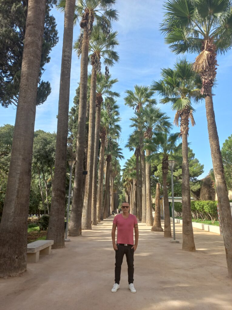 Le palme all'ingresso dei giardini Jnan Sbil di Fez