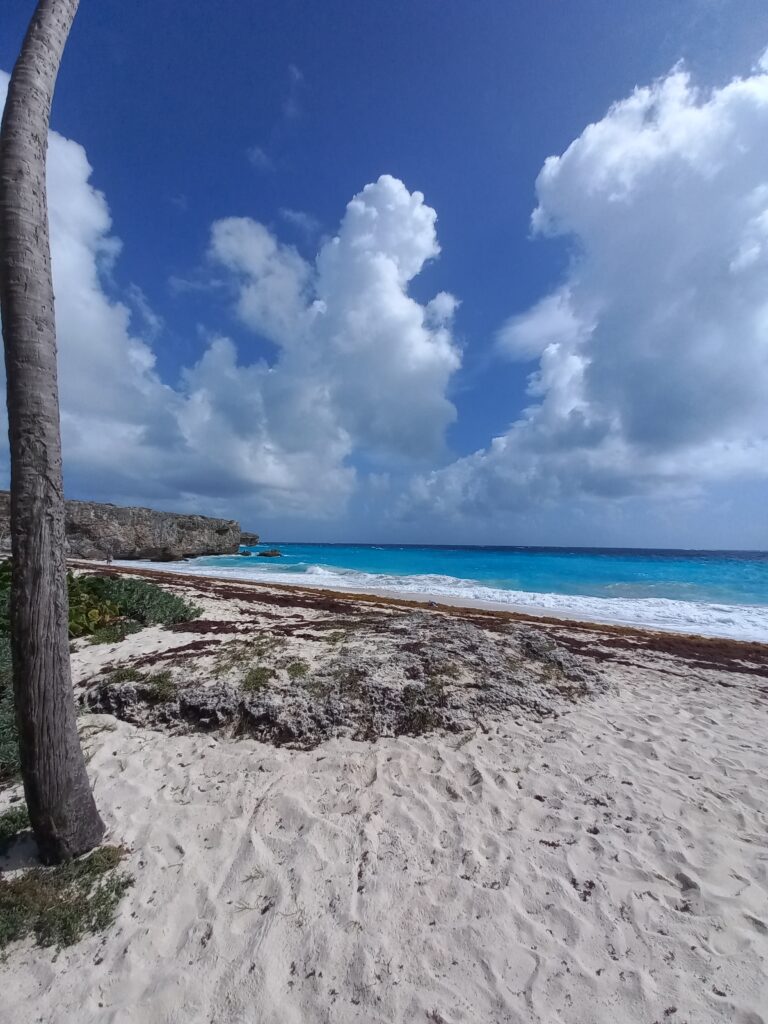 Barbados spiagge, Bottom Bay