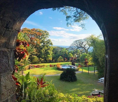 Romney Manor- Photo credit by www.caribellebatikstkitts.com