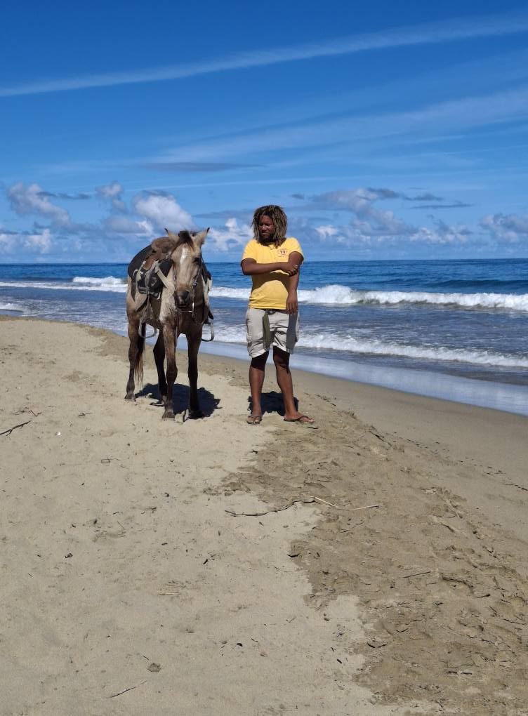 Cavallo nella Spiaggia di Cabarete