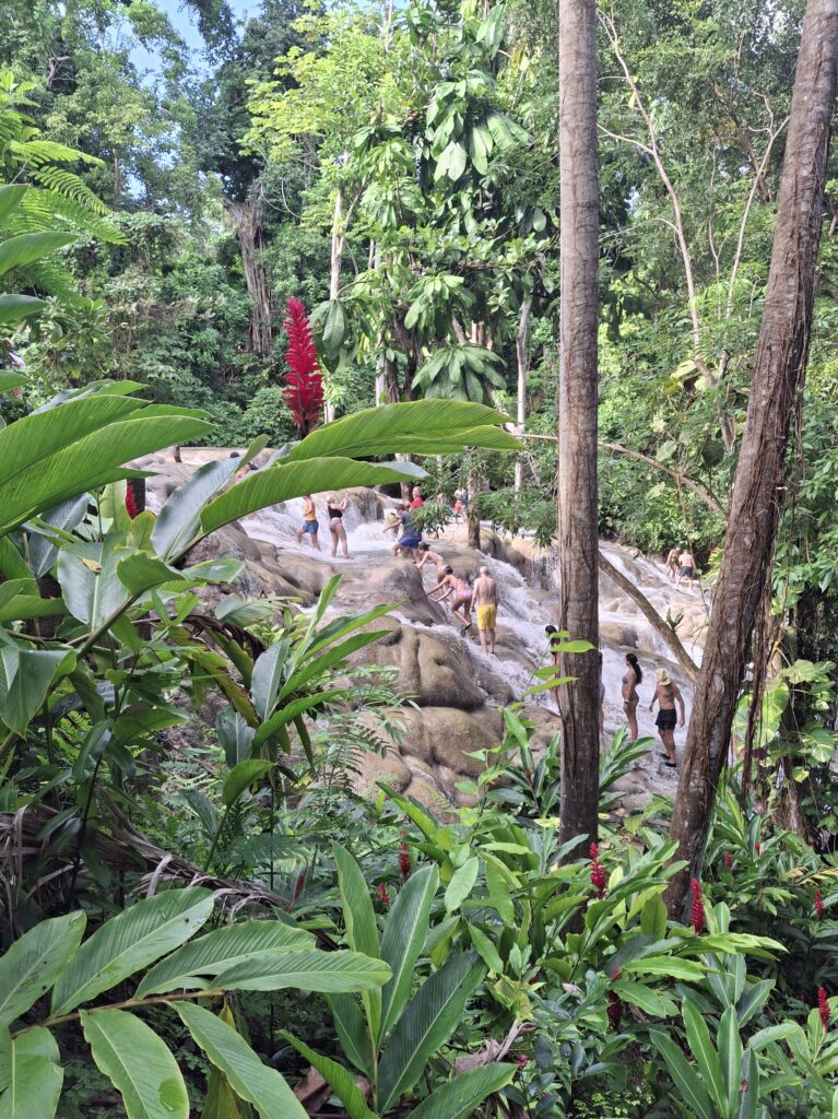 La natura intorno alle cascate Dunn's di Ocho Rios