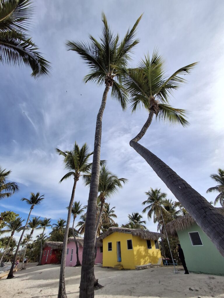 Casette a Isla Catalina