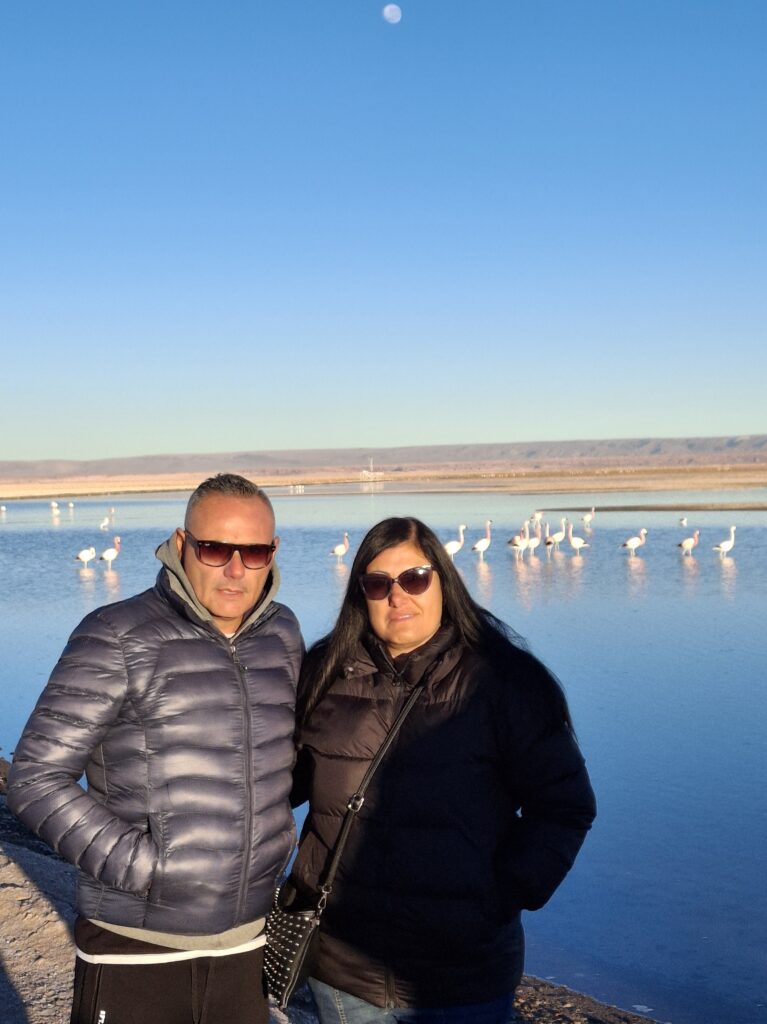 Fenicotteri nella Laguna Chaxa Cile