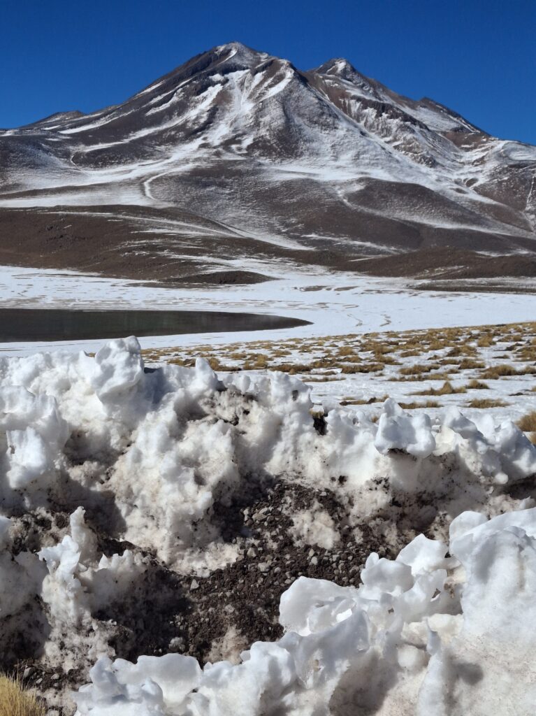 Lagune altipianiche di Miscanti y Miñiques
