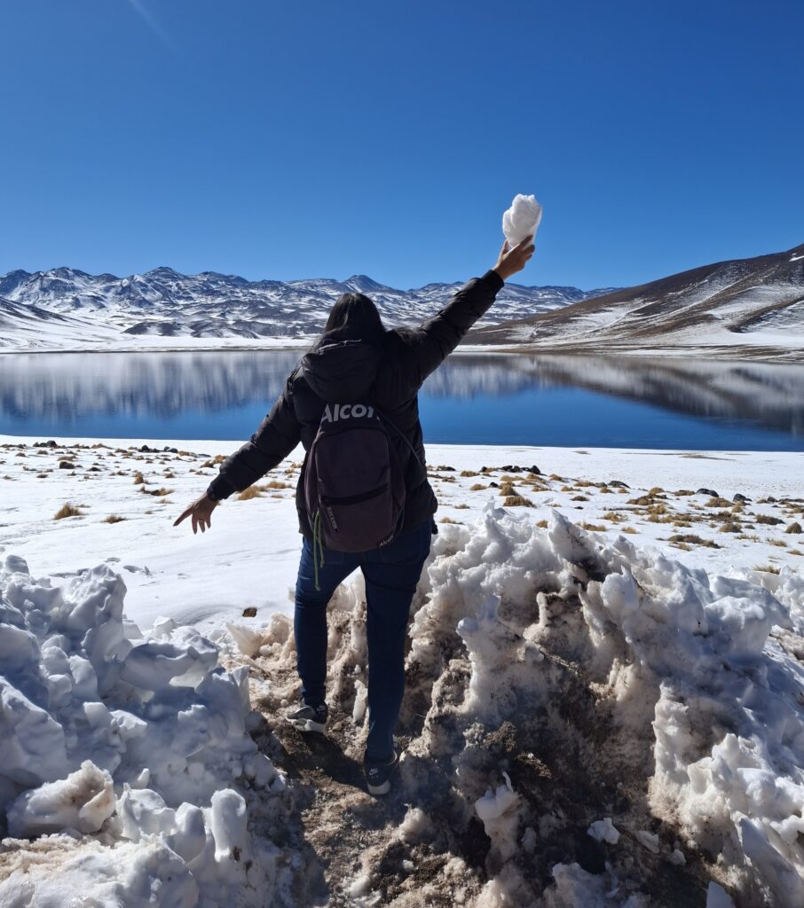 Lagune altipianiche di Miscanti y Miñiques Deserto di Atacama