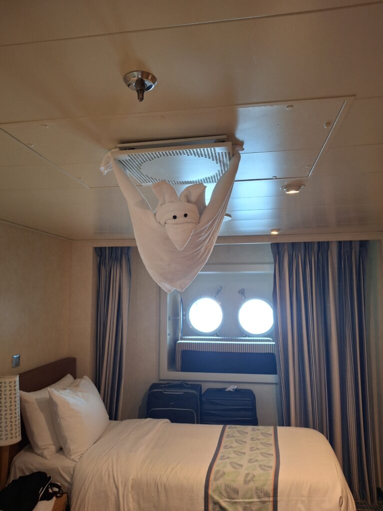 Camera da evitare su Carnival Horizon, 2217