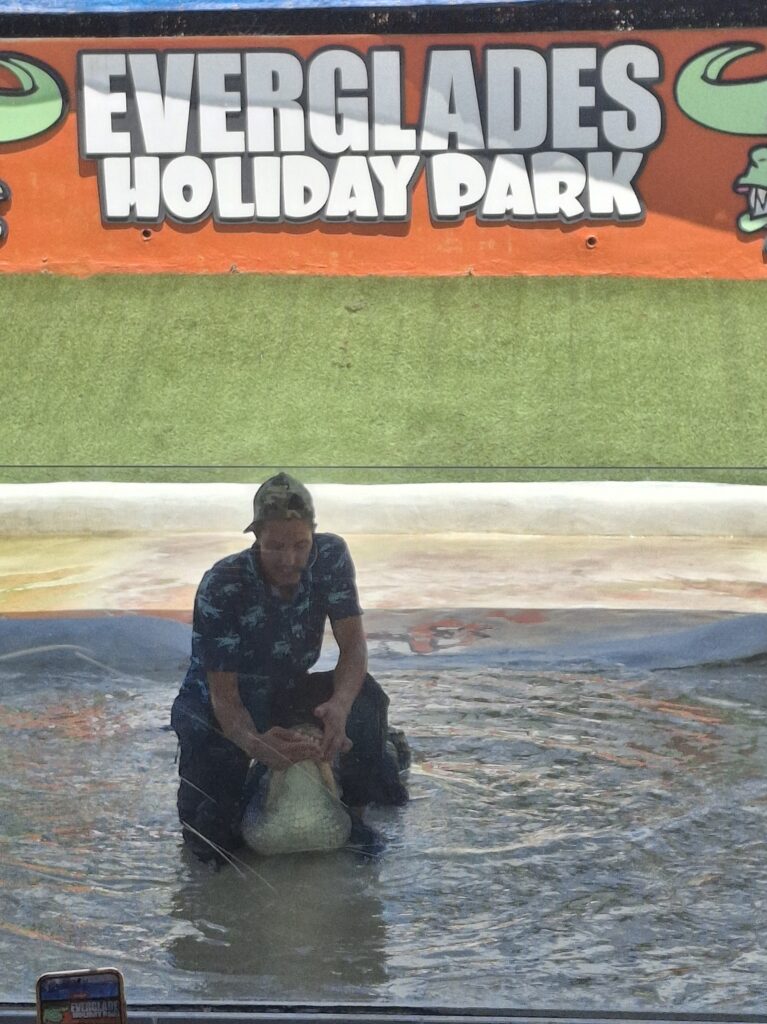 Spettacolo dei Gator Boys