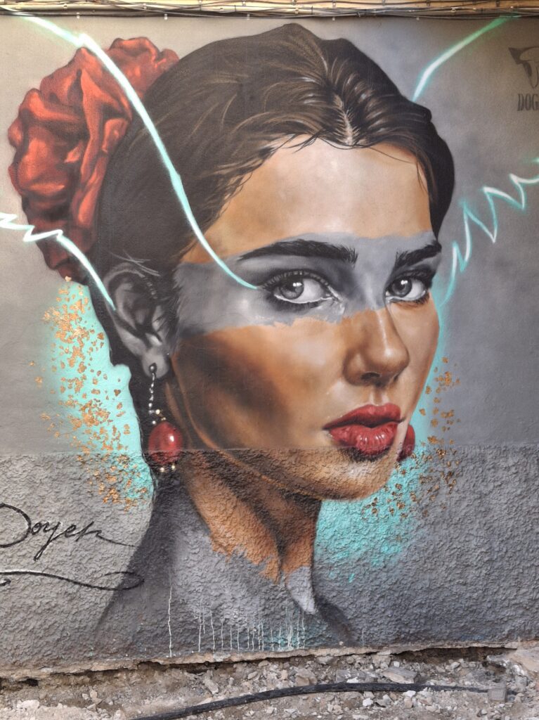 Murales a Calle Lagunillas