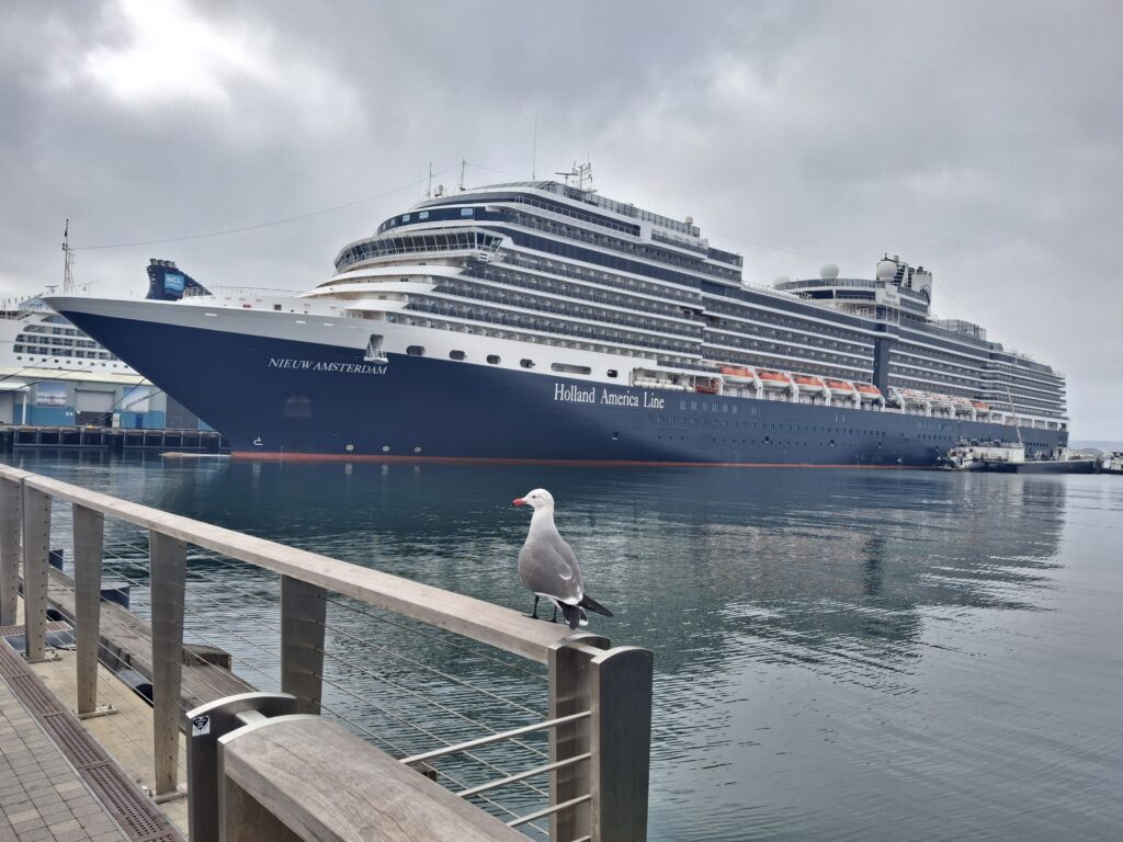 Nieuw Amsterdam di Holland America in porto a San Diego California
