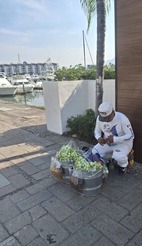 Venditore ambulante Jalisco Messico