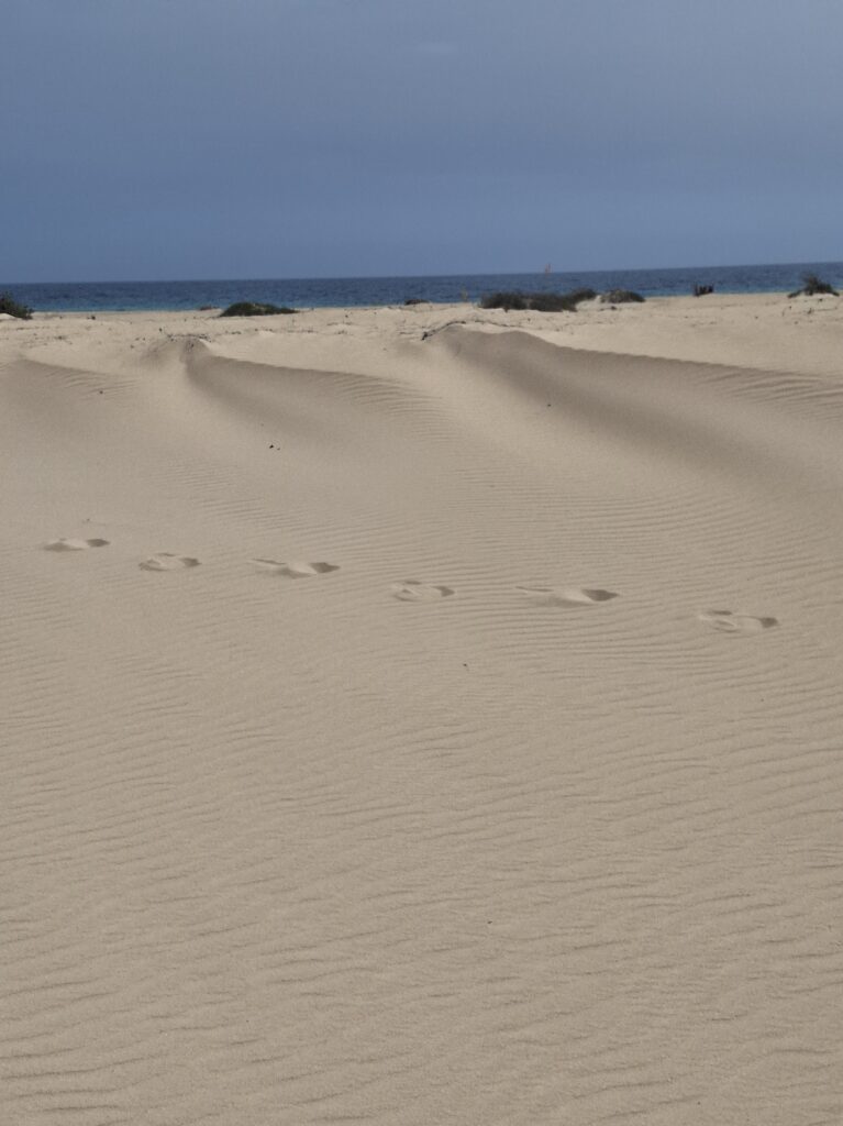 Mare e dune di Corralejo 