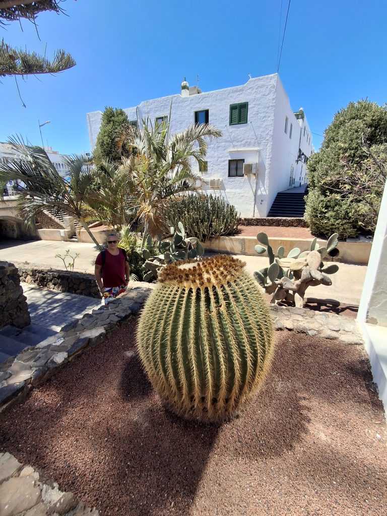 Lanzarote cosa vedere in un giorno di crociera, scorci di cactus a Playa Blanca