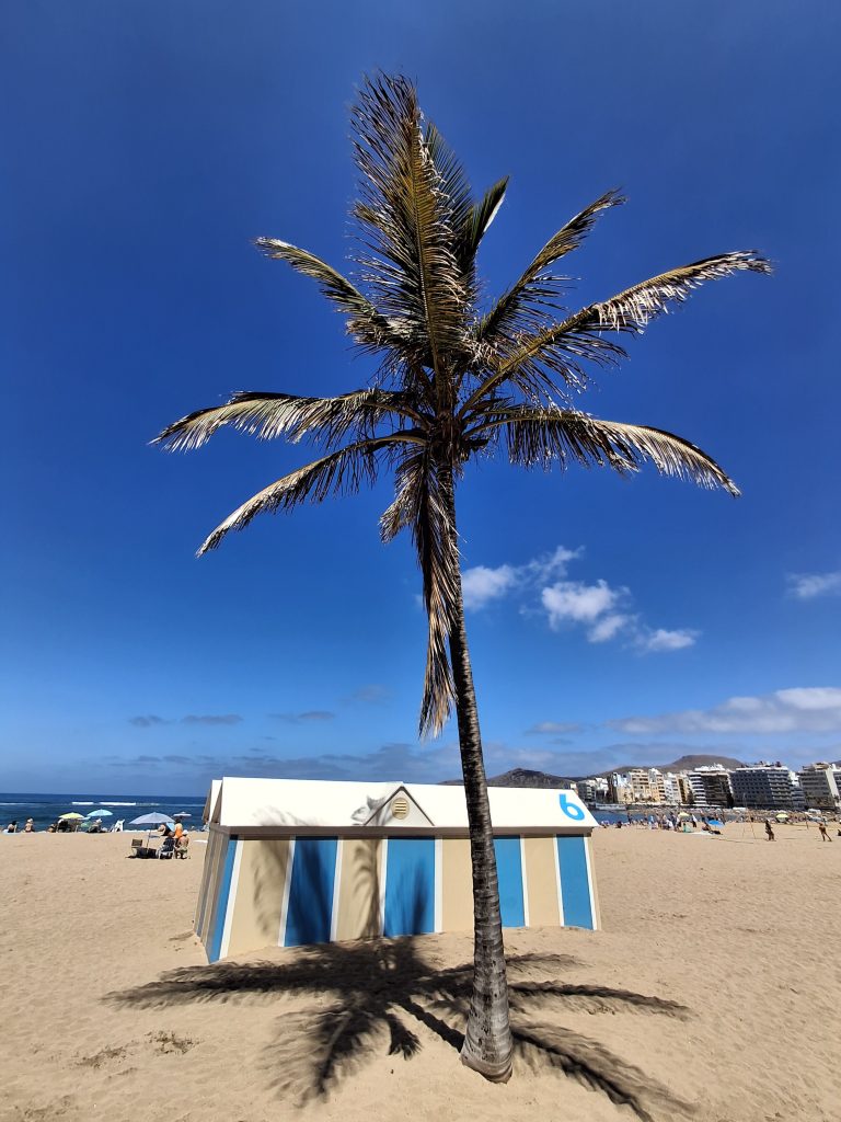 Las Palmas spiagge più belle, Las Canteras