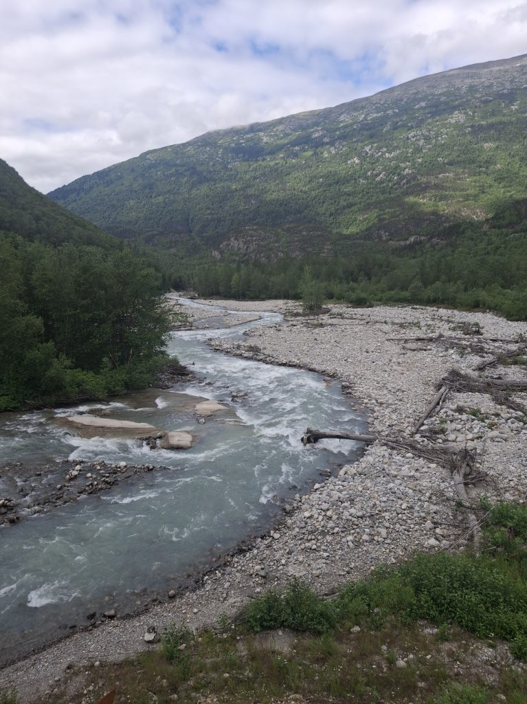 Vedute sul White Pass & Yukon Route