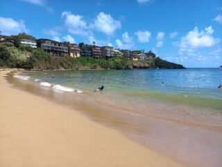 Forse non la più bella spiaggia di Kauai ma se volete nuotare con le tartarughe è l'ideale!
Siamo nella spiaggia di Kalapaki raggiungibile in 15 minuti a piedi dal porto di Nawiliwili e a 1 metro da riva potrete vivere questa bellissima esperienza!
 #kalapakibay #kalapakibeach #kalapaki #kauai #kauailove #kauaihawaii #hawaii #tartarughemarine #wheretogo #nawiliwili #nawiliwiliharbor #nawiliwilibay