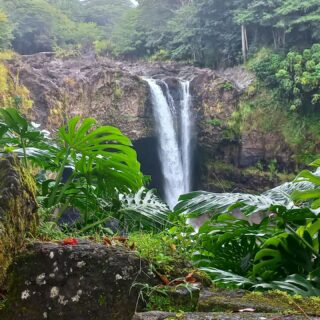 Le Rainbow falls sono le cascate più famose di Hilo (Big Island), la loro particolarità sta nel fatto che in certi momenti la nebbiolina forma  un arcobaleno sopra all'acqua ????!

Tutt'intorno la vegetazione prende il sopravvento e si è letteralmente inglobati nella natura circostante. Un vero spettacolo!

#Hawaii #bigisland #hilo #rainbowfalls #travelblogger #travelcouple #hawaiifalls #hawaiistagram #hawaiiisland #hawaiilove #hawaiiislands